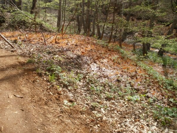 FORUM JUGOISTOČNE EVROPE- PROLOM BANJA 22.-24.04.2012. 